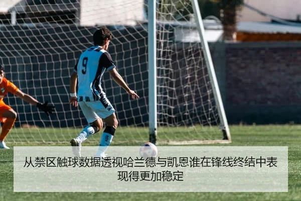 从禁区触球数据透视哈兰德与凯恩谁在锋线终结中表现得更加稳定
